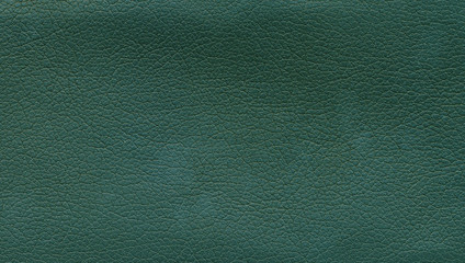 Surface of green leather