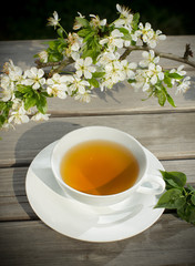 Tea of healthy herb. Cup of warmly drink