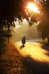 Road. Sri Lanka