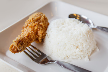 Fried chicken with Rice