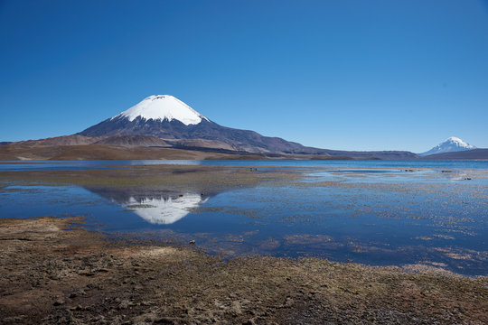 Parinacota Volcano