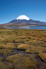 Parinacota Volcano