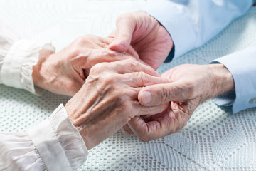 Fototapeta premium Old people couple holding hands closeup. Happy family. 