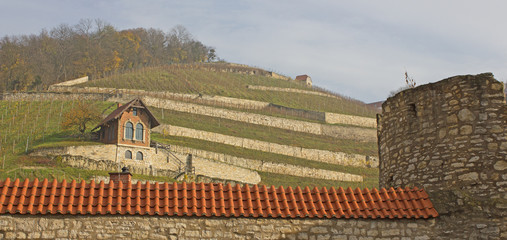 Freyburg: Weinhang im Herbst (Sachsen-Anhalt)