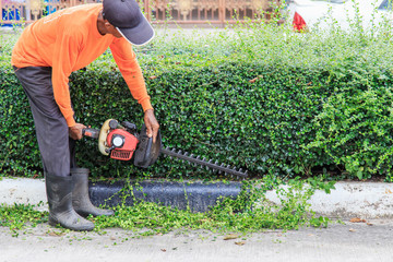 A man trimming hedge at the street