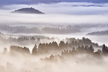 Fototapeta premium Morning fog