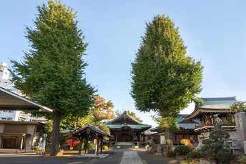 Fototapeta premium 正覚寺