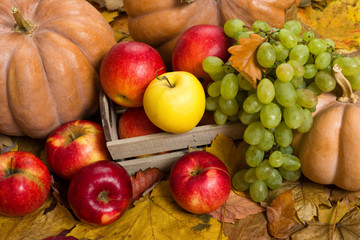 fruits and vegetables on autumn leaves