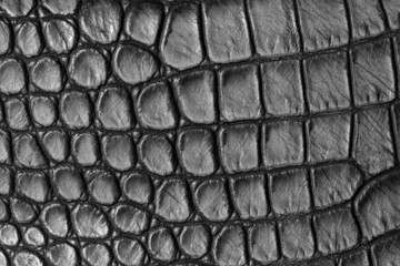 Artificial crocodile leather as a background