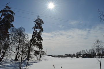 Зимний день © pupulica