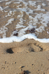 foot print on sand