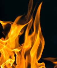 flame of fire as the background