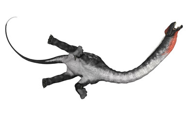 Dinosaur Apatosaurus