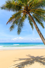 Plakat Tropical beach in Phuket, Thailand