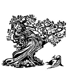 Peacock on the tree