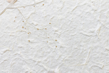 Mulberry paper with dry flower texture background
