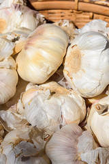 garlic on market
