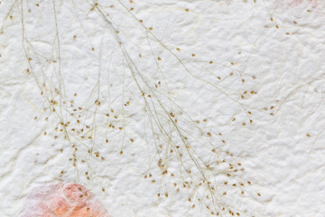 Mulberry paper with dry flower texture background