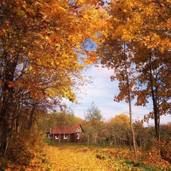 дом в кленовом лесу
