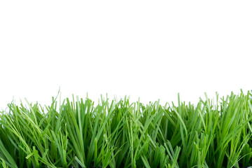 Fototapeta premium Artificial grass background