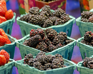 Brombeeren - Schale