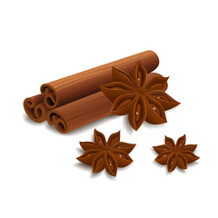 Cinnamon and star anise