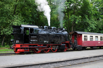 Fototapeta na wymiar Selketalbahn