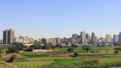 Green field in a village beside Cairo, Egypt