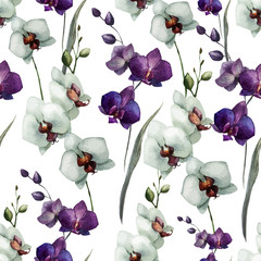 Beautiful orchid flower7 © zenina