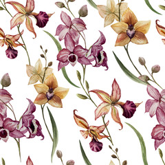 Beautiful orchid flower8