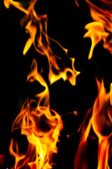 Fire flames on a black background