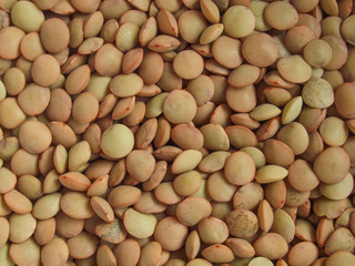 Lentils