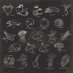 Hand drawing sketch vegetables on black background