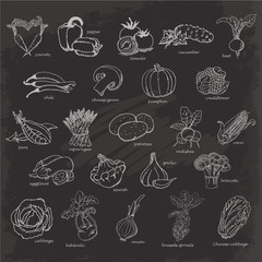 Fototapeta premium Hand drawing sketch vegetables on black background
