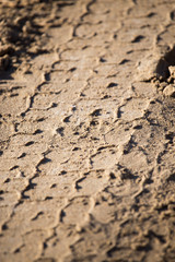 trace of the tire tread