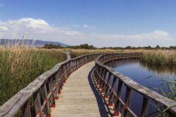 Obraz premium Tablas de daimiel