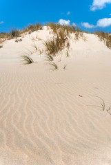 Fototapeta na wymiar Sardegna, dune di Su Giudeu, Chia, Domus de Maria (Ca)