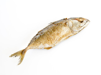 A mackerel fried