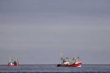 Fischkutter auf See