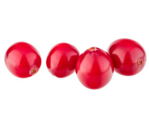 cranberry  isolated on white background cutout