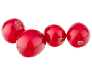 cranberry  isolated on white background cutout