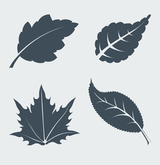 Set of vector leaves.