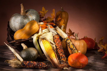 pumpkins and corn cobs © kolesnicov