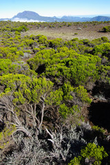 La Réunion - Cratère Commerson