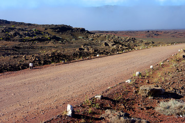 La Réunion - Sentier Josémont