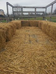Empty hay ride © DriftlessRamblings