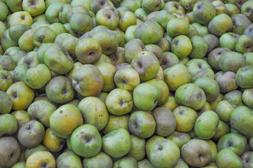 Green apples