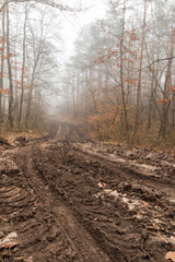 Road
