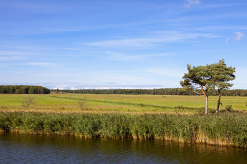 Fototapeta premium Vorpommersche Boddenlandschaft