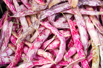 Red beans borlotti